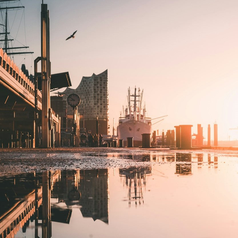 DIS@HIAD: Efficiency in the Digital Age